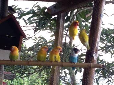 Mirador Finca Morrogacho