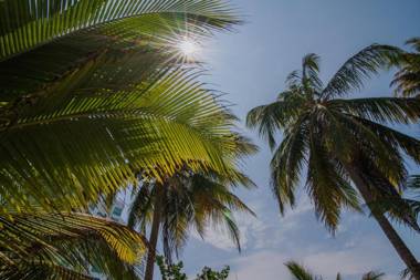 Apartamento Coveñitas 8