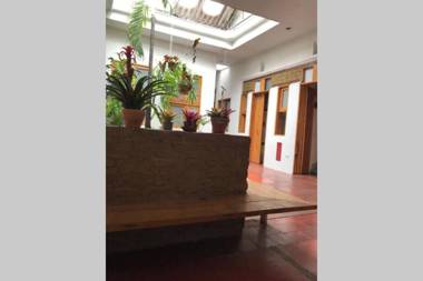 Parrot House San Antonio