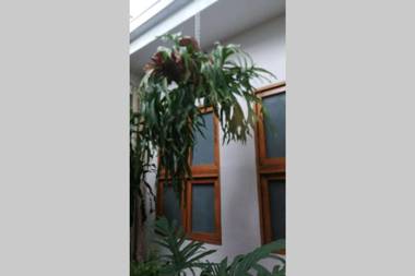 Parrot House San Antonio