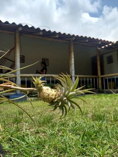 Finca Hotel La Esmeralda Casa 2