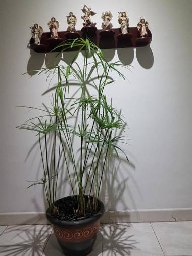 Tu Hogar cerca a la zona T