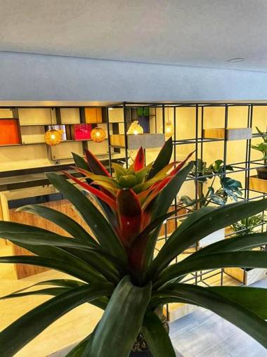 Palermo Home Bogotá