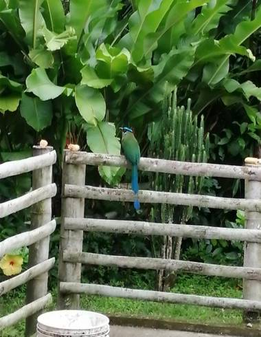 Casa Campesina Hostel