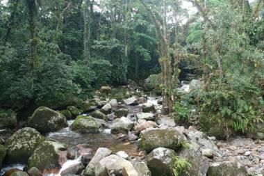 Paraíso en la montaña con cascadas y lago de pesca