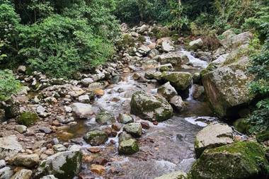 Paraíso en la montaña con cascadas y lago de pesca