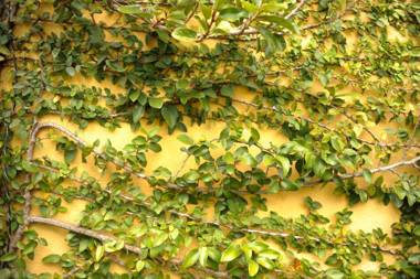 Casa Encuentro Alojamiento Rural