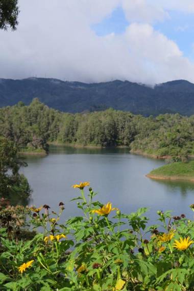 Ecolodge Bahia del Peñón