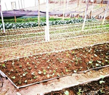 Titania Recinto Natural Hospedaje de Montaña y Eventos Mágicos