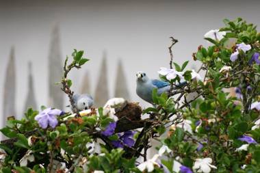 Hostal Familiar Jerico