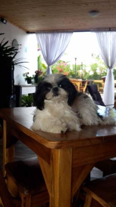 Hostal Hilltop Salento