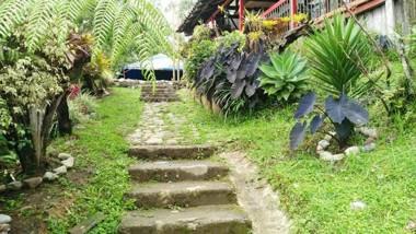 Atardecer De Salento