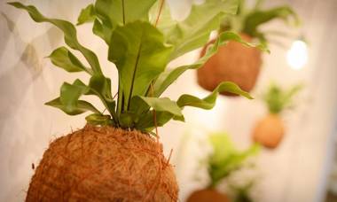 The Corner House Hostel