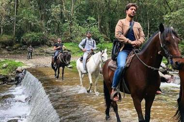 Apartahotel BETHEL 101