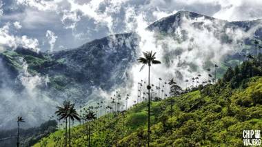 Apartahotel BETHEL 101