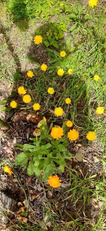 El Chalet de El Refugio de la Loma