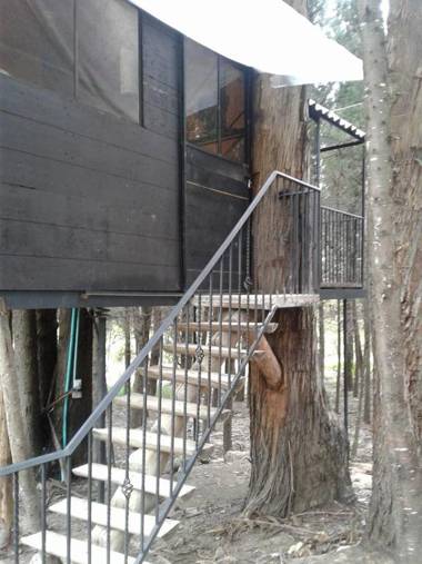 Casa En El Arbol