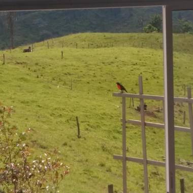 Exclusiva Cabaña en el corazón del Eje Cafetero cerca a Pereira Salento Filandia