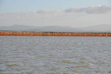 Bona Vida Hostel La Quinta