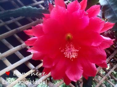 El Refugio Hostel Curití