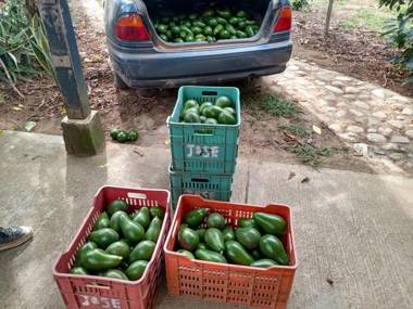 Hotel Ecoposada Viña de Aldana