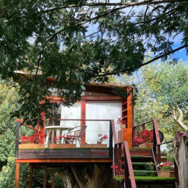 Casa en el Árbol