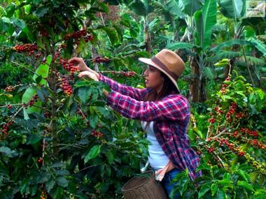 Chalet Ecoturismo La Nohelia