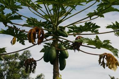 Colores de la Sierra
