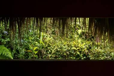 Sierra Alta Finca Boutique