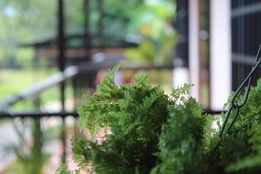 Casa Campestre URBI en la Finca Villa Lucila