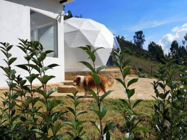 Glamping NIDO VERDE