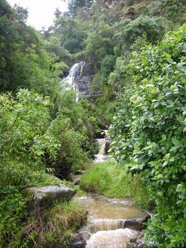 Villa Manantial de Sueños - Plan Pareja