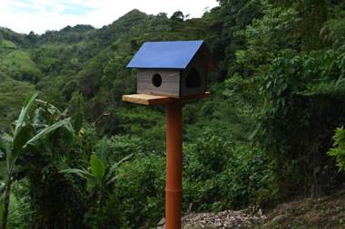 Glamping-cabaña con jacuzzi en medio de la montaña