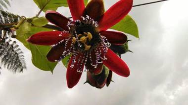 Kantarrana Casa de Campo