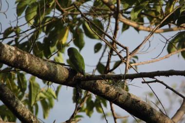 El Cielo en Tena - Biohospedaje