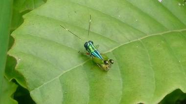 El Cielo en Tena - Biohospedaje