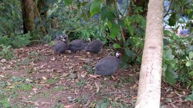 Centro Vacacional y Recreativo La Ermita - SASAIMA