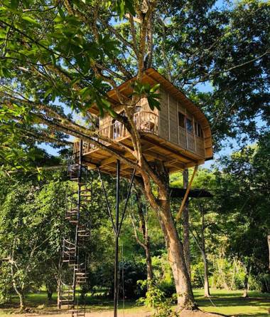 Casa del Árbol Colombia