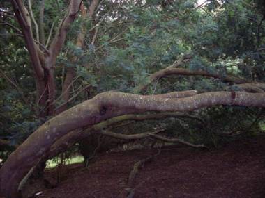 casita sopo arriba vista laguna tomine