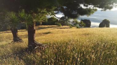 casita sopo arriba vista laguna tomine