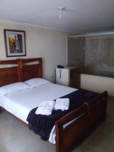 Hotel Caldas Plaza