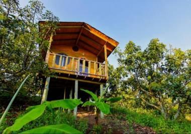 Glamping con Jacuzzi para Parejas en Caldas