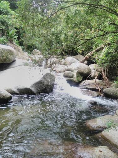 Hierba Buena Eco Hostel