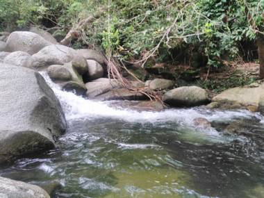 Hierba Buena Eco Hostel