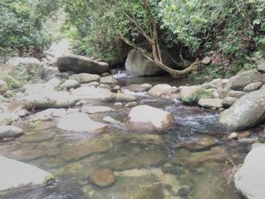 Hierba Buena Eco Hostel