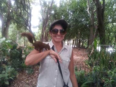 Las Mañanitas de la Sierra