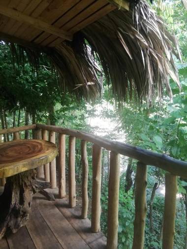 ECO Hostal Monolandia