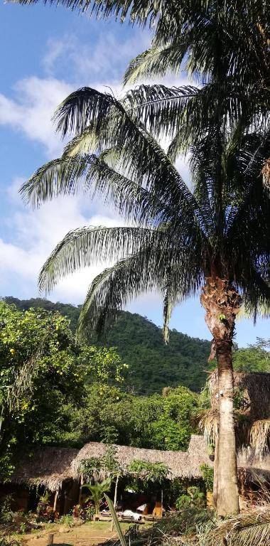 ECO Hostal Monolandia