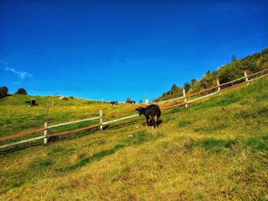 Finca Agrreste Bed & Breakfast