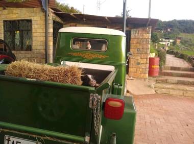 Chalet en Granja Campo Hermoso